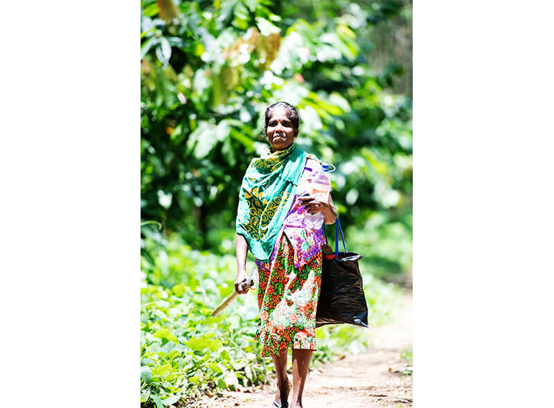 maarji_gallery_img