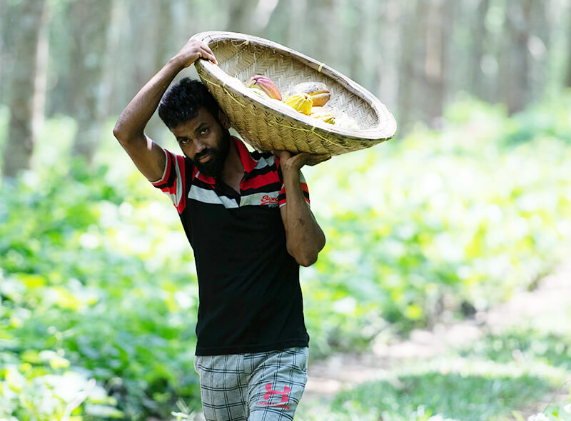 maarji_gallery_img