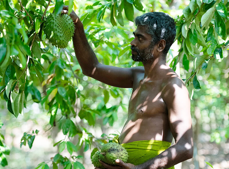 maarji_gallery_img
