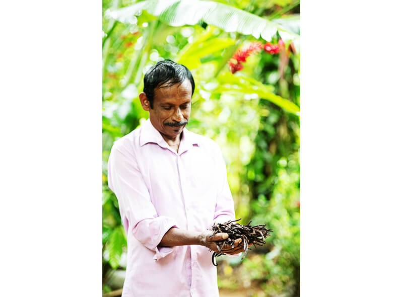 maarji_gallery_img