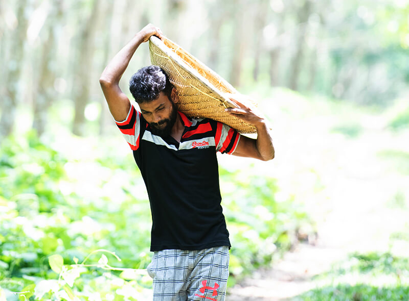 maarji_gallery_img